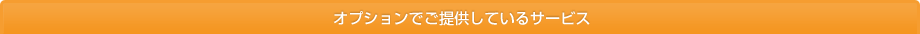 オプションでご提供しているサービス