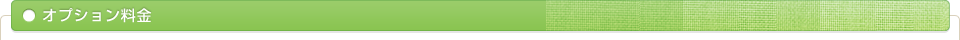 オプション料金
